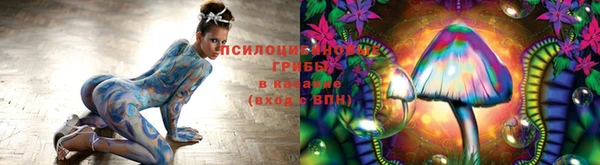 spice Баксан