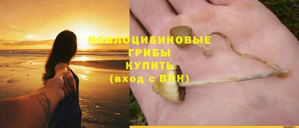 спиды Балахна