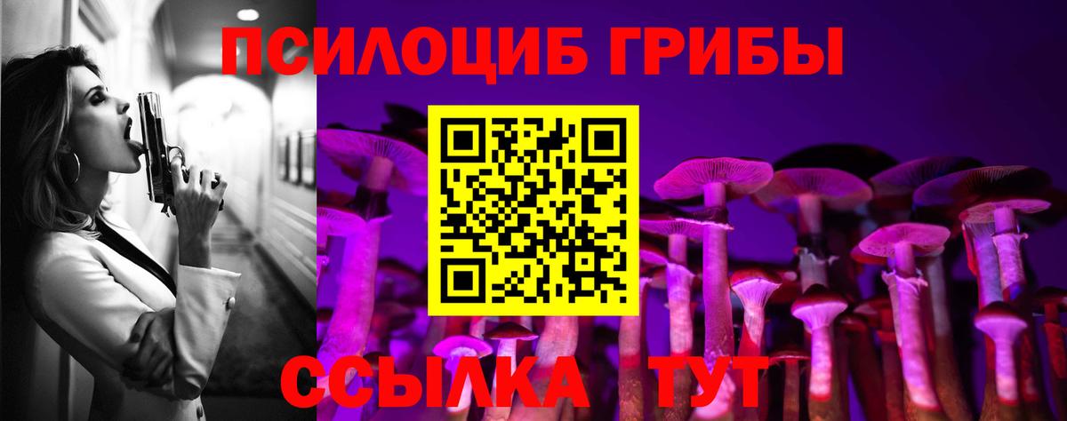 Калуга  Галлюциногенные грибы Psilocybine cubensis  магазин  наркотиков  Вход с VPN 